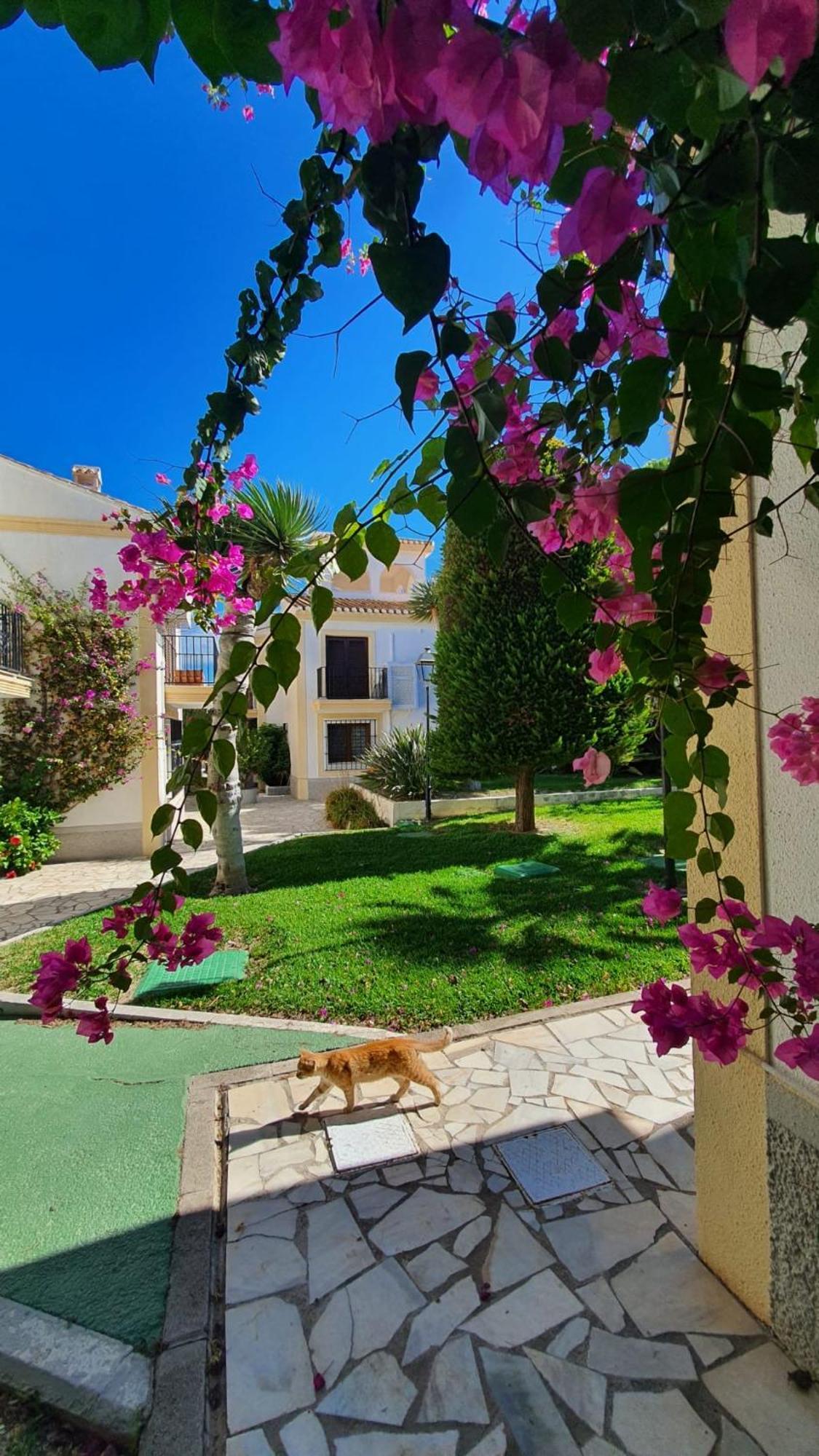 Casa Veratense Vera Playa Playas de Vera Exterior foto